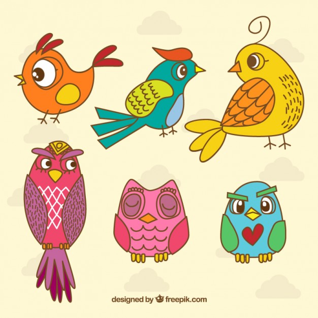 Free Vector Hand Drawn Bird