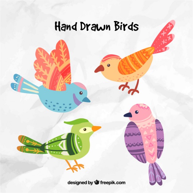 Free Vector Hand Drawn Bird