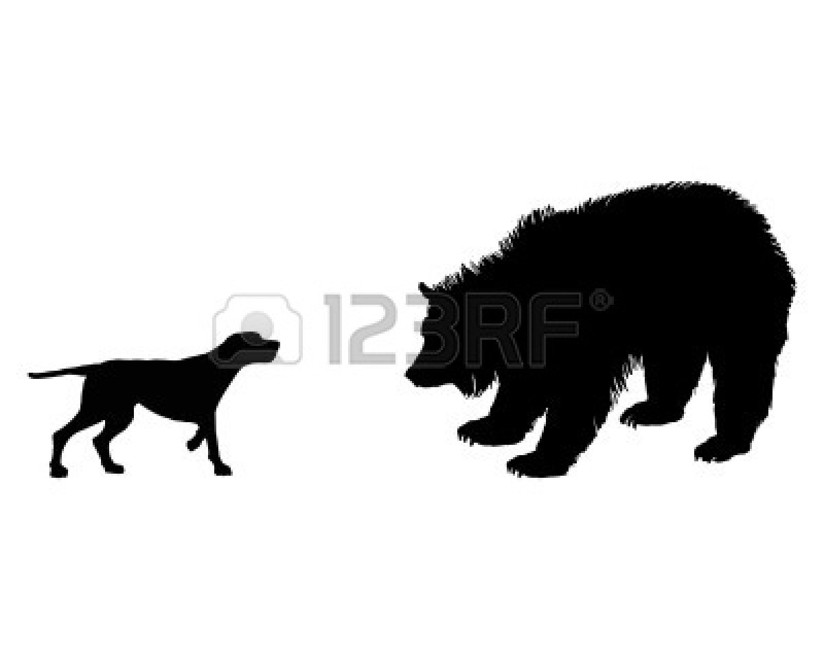 Grizzly Bear Face Silhouette Grizzly Bear Face Silhouette