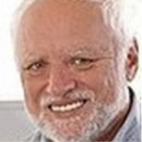 Meme Hide the Pain Harold Meme Hide the Pain Harold