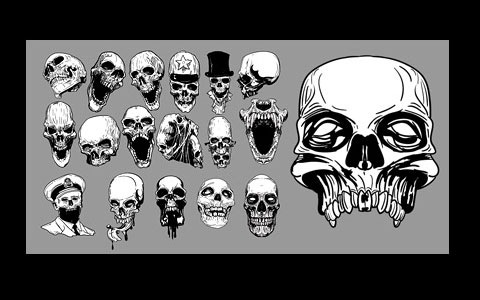 Misfits Skull Vector