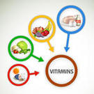 Mixed Fruit Nutrition Mixed Fruit Nutrition