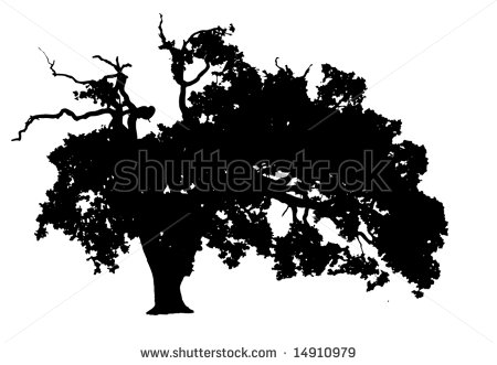 Oak Tree Silhouette Clip Art