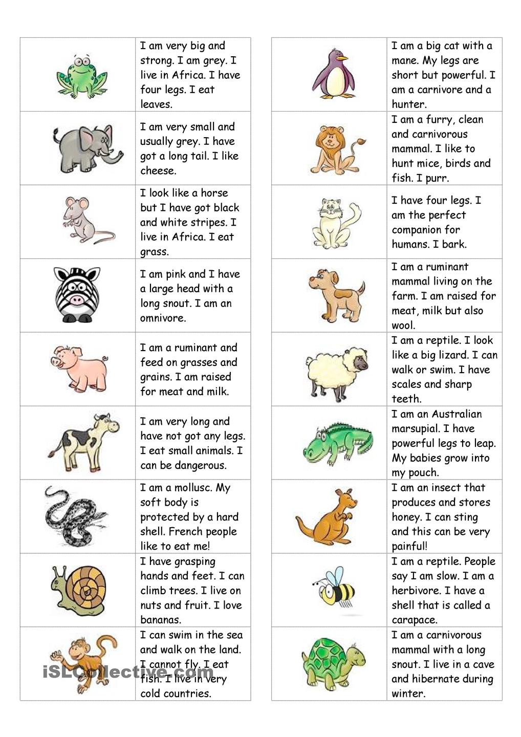 Text Animals Symbols