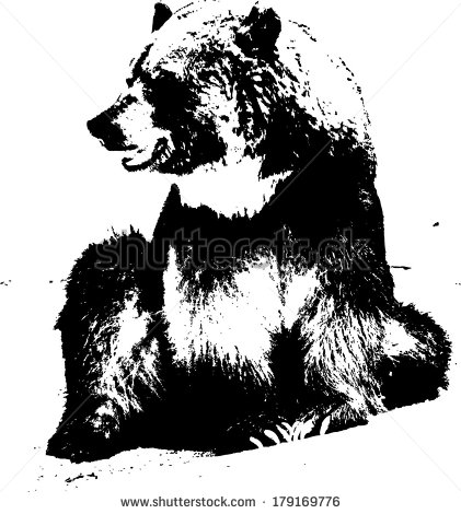 Vector Bear Head Silhouette