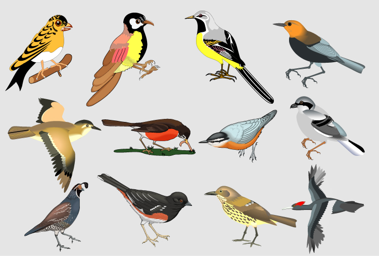 Vector Hand Painted Birds