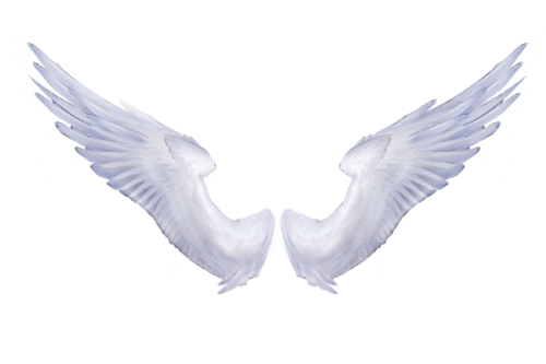 White Angel Wings Transparent