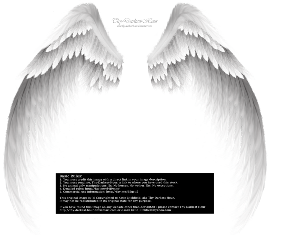 White Angel Wings