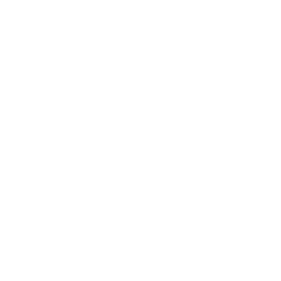 White Music Icon