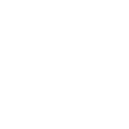 White Music Icon White Music Icon