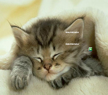 Windows 7 Desktop Themes Cats