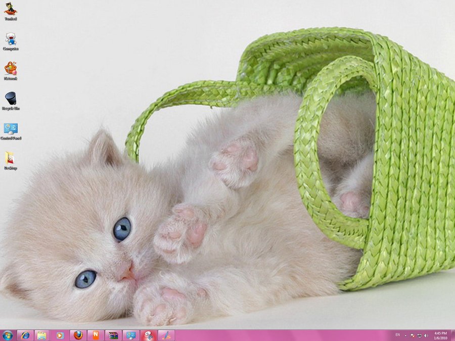 15 Cat Icons For Windows 7 Images