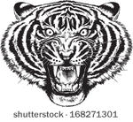 Angry Tiger Black and White Angry Tiger Black and White