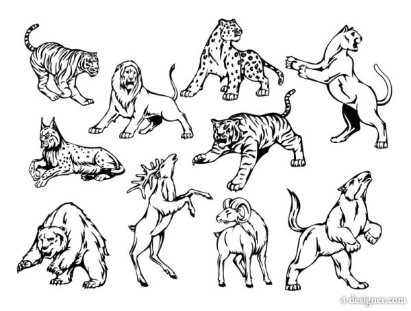 Animal Line Art Drawings