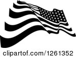 Black and White American Flag Vector