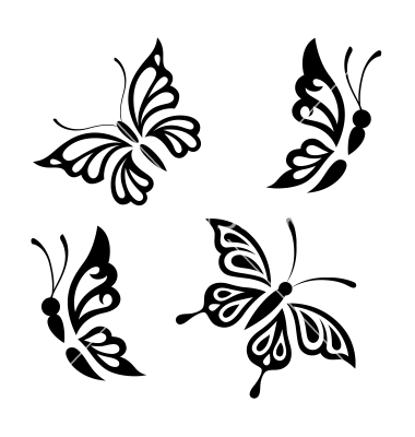 Black and White Butterflies Images