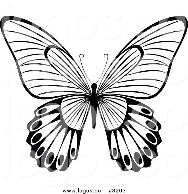 Black and White Butterfly Graphics