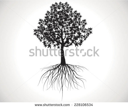 Black and White Tree with Roots