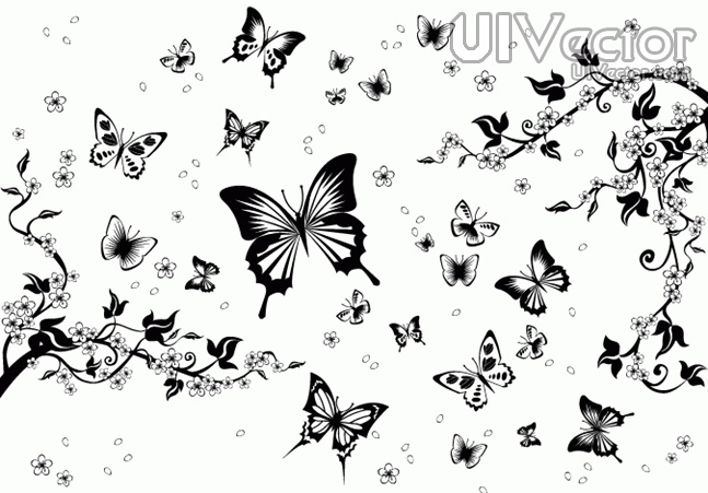 Butterflies Black and White Patterns