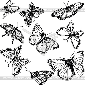 Butterflies Clip Art Black and White