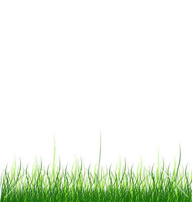 Cartoon Grass with White Background