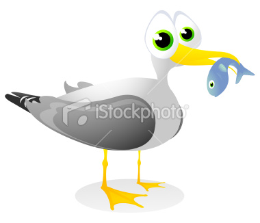 Cartoon Seagull Clip Art