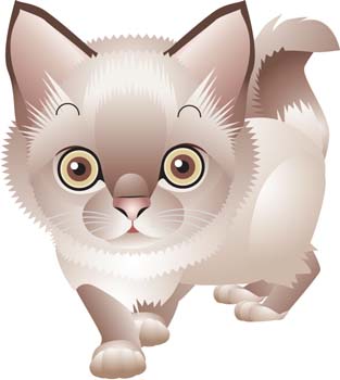 Cat Vector