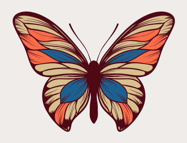 Colorful Butterfly Vector Art Colorful Butterfly Vector Art