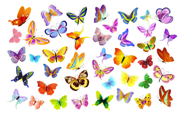 Colorful Flying Butterfly Vector Colorful Flying Butterfly Vector