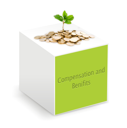 Compensation and Benefits Compensation and Benefits