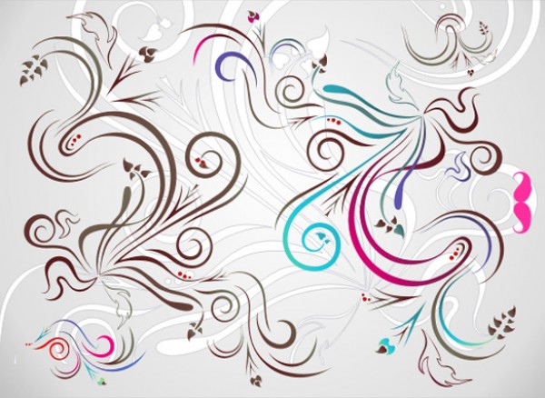 Elegant Swirl Designs Vector