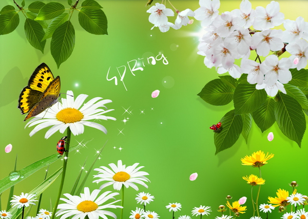 Flowers PSD Templates