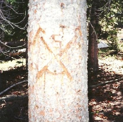 Font That Looks Like Carved On Tree