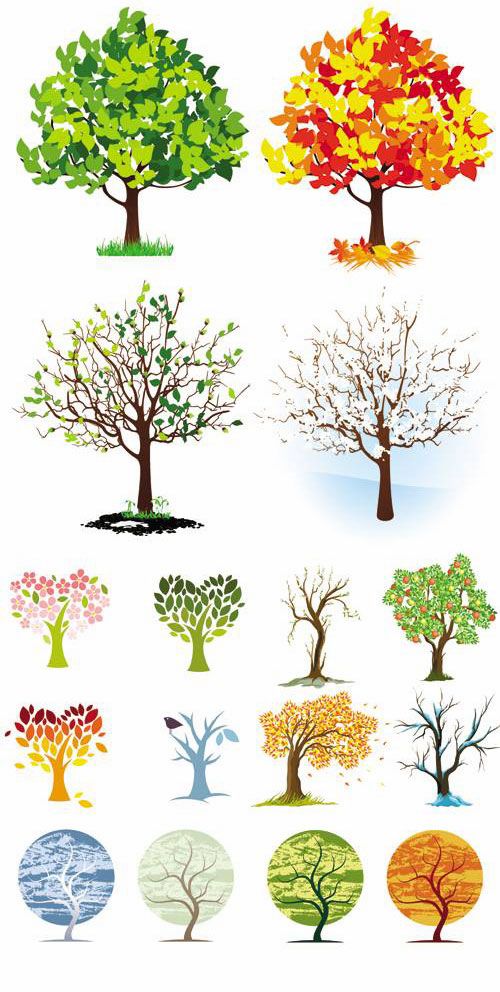 Four Seasons Tree Vector Four Seasons Tree Vector