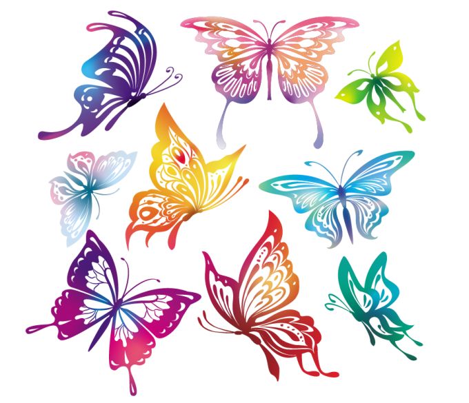 12 Photos of Butterfly Vector PSD