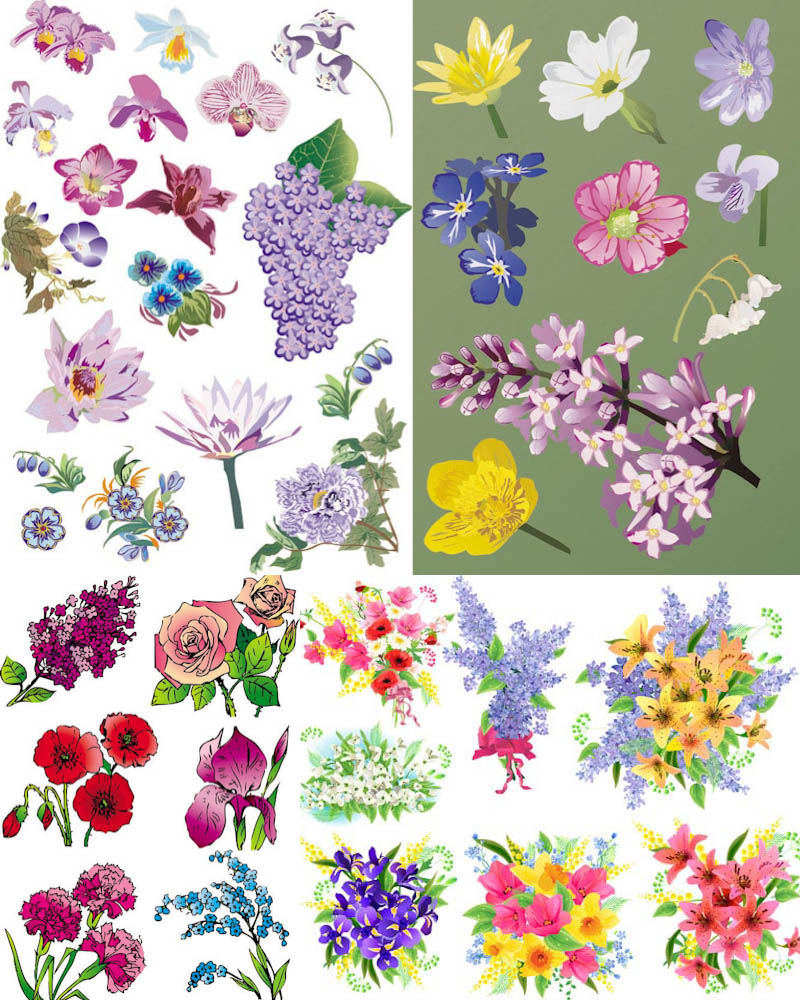 Free Clip Art Flower Vector