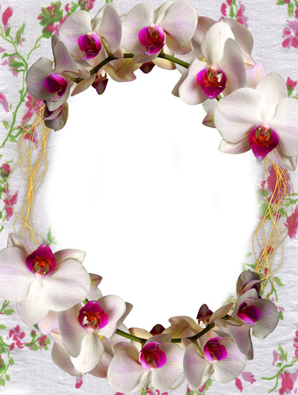 Free Flowers Graphic Frames