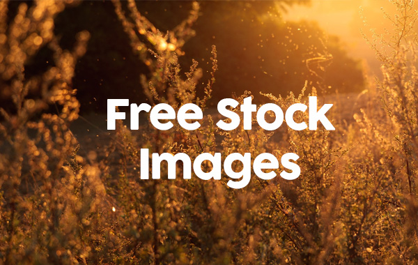 6 Free Commercial Use Stock Photography Images