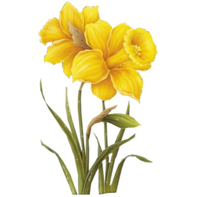 Free Transparent PNG Yellow Flower