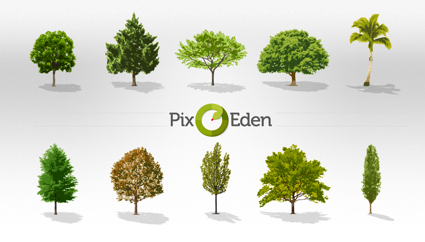 Free Tree Vector Pack Collection Free Tree Vector Pack Collection