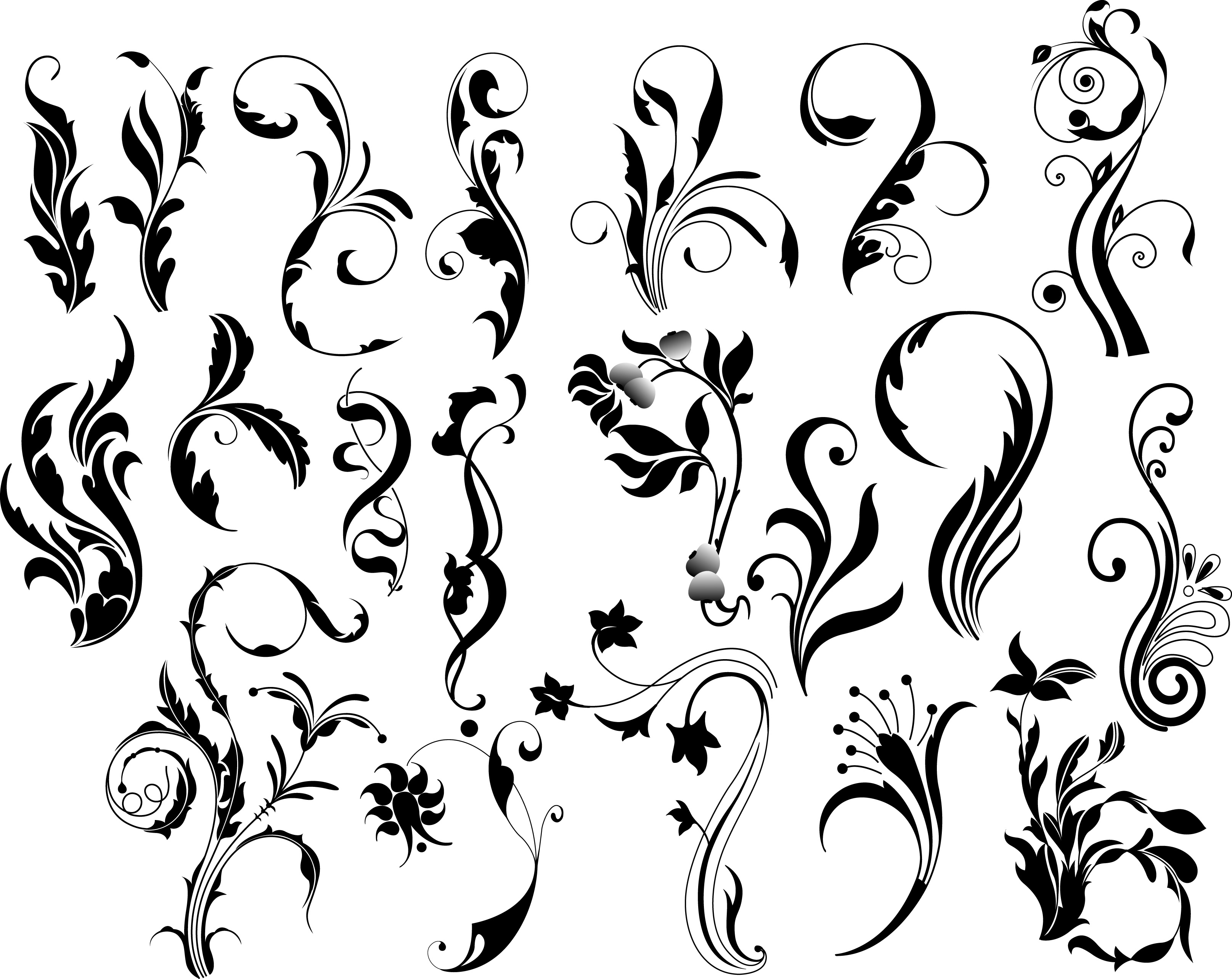 14 Swirl Leaf Vector Corner Images