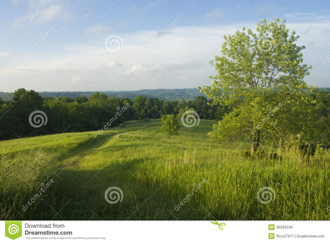 Grassy Hill with No Background