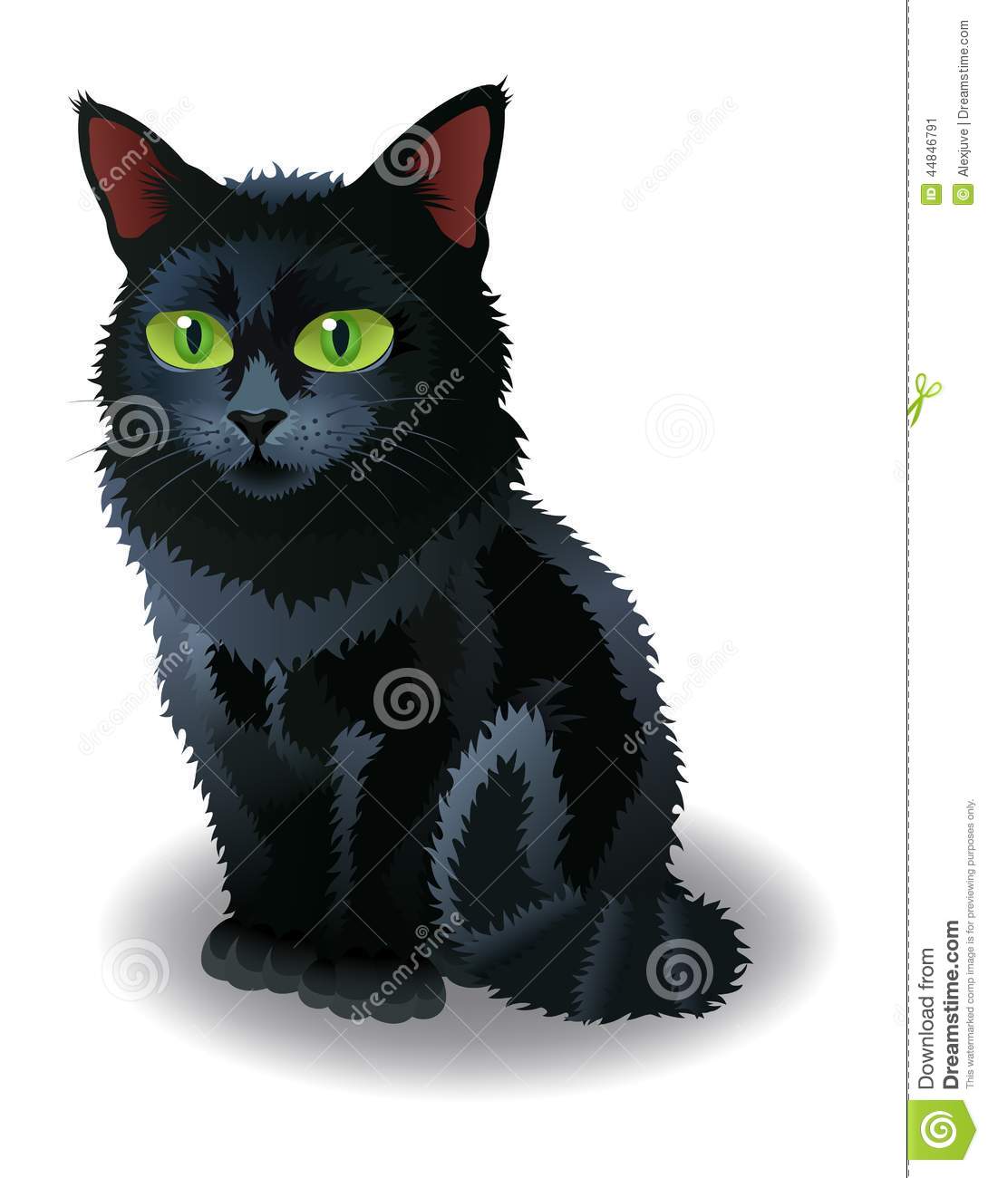 10 Photos of Halloween Cat Vector