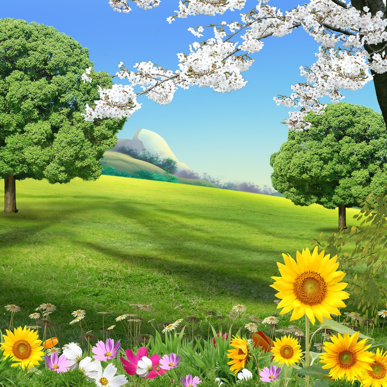 photoshop backgrounds psd files free download