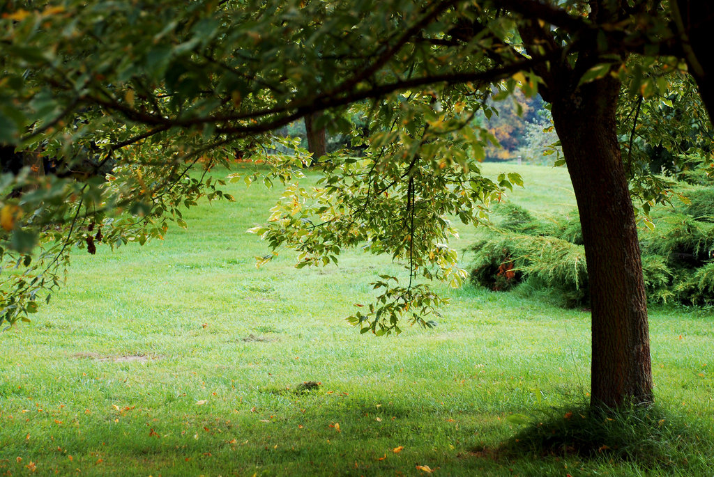 Nature Photoshop Backgrounds Free Nature Photoshop Backgrounds Free