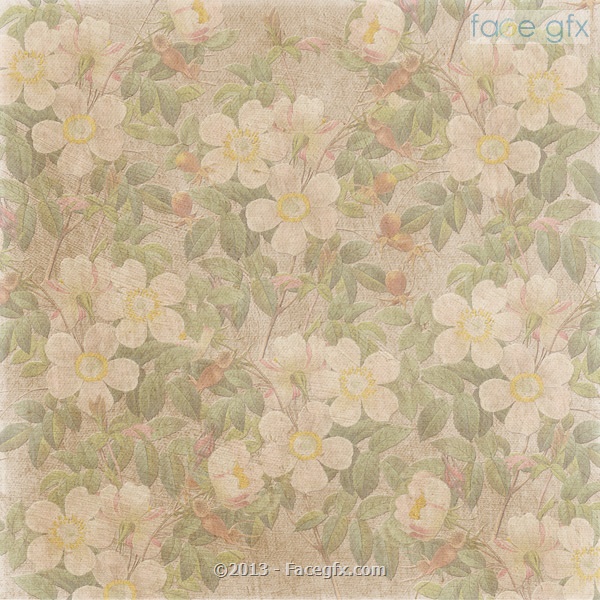 Old Paper Texture PSD Old Paper Texture PSD