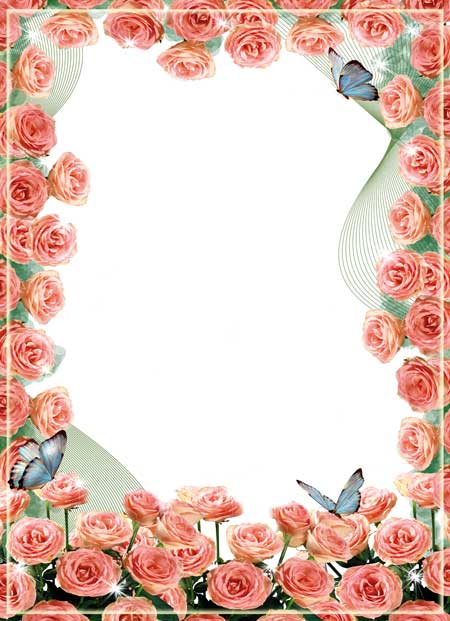 Pink Roses and Butterflies Border