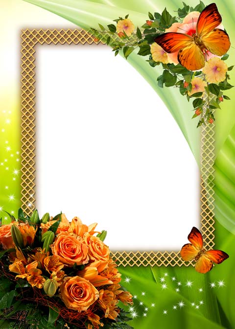 Roses and Butterflies Frame