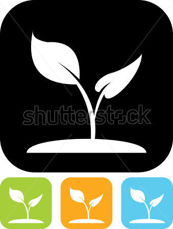 Seed Plant Vector Icon