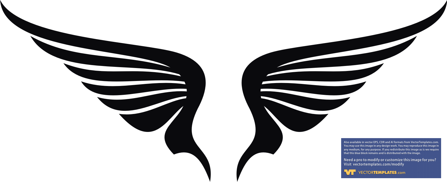 Simple Clean Pair Of Wings Black On White